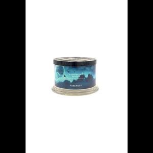 HomeWorx by Harry Slatkin 18oz Midnight Moon Candles 4 Wick